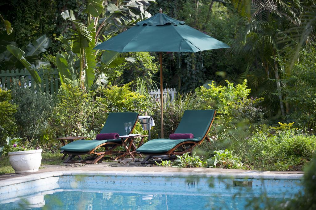 แฮคเคิลวูดฮิลล์ คันทรีเฮาส์ Bed & Breakfast พอร์ตเอลิซาเบธ ภายนอก รูปภาพ